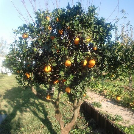 شقة أزيتاوْ  في Quinta Da Harmonia المظهر الخارجي الصورة