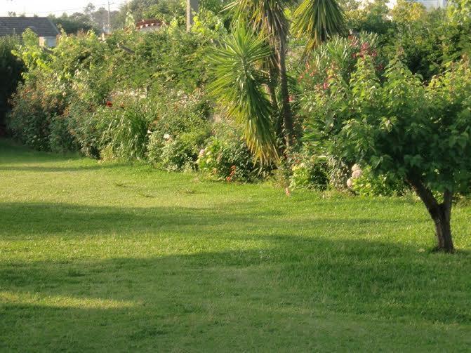 شقة أزيتاوْ  في Quinta Da Harmonia المظهر الخارجي الصورة