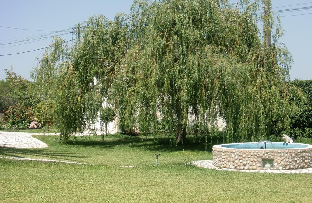شقة أزيتاوْ  في Quinta Da Harmonia المظهر الخارجي الصورة