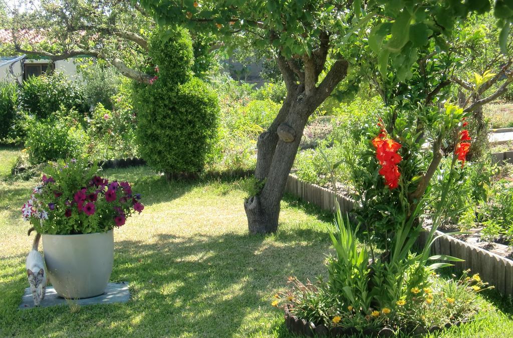 شقة أزيتاوْ  في Quinta Da Harmonia المظهر الخارجي الصورة