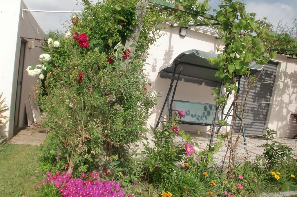 شقة أزيتاوْ  في Quinta Da Harmonia المظهر الخارجي الصورة